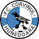 Corvinul Hunedoara